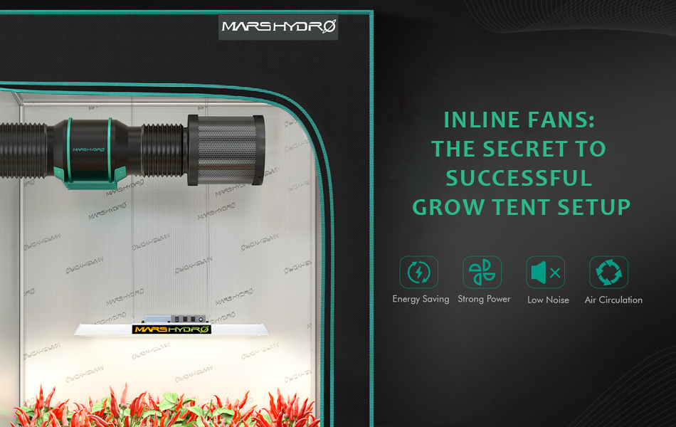 Inline Fans The Secret to Successful Grow Tent Setup