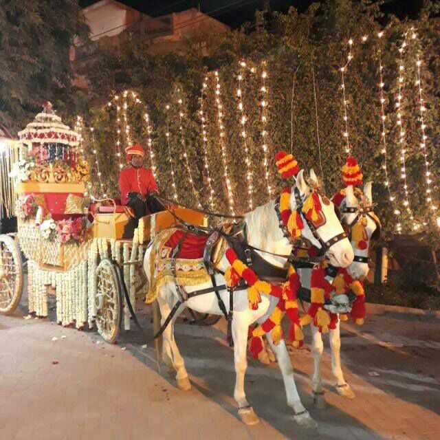 Baggi for Wedding Horse Baggi Mars Event Planners