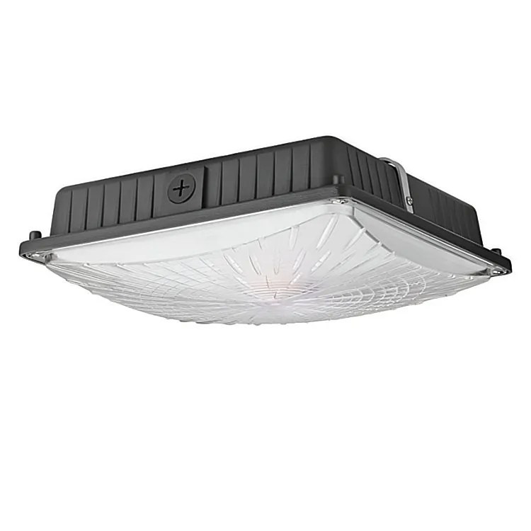 CPY48DC LED Canopy Style Light fixture