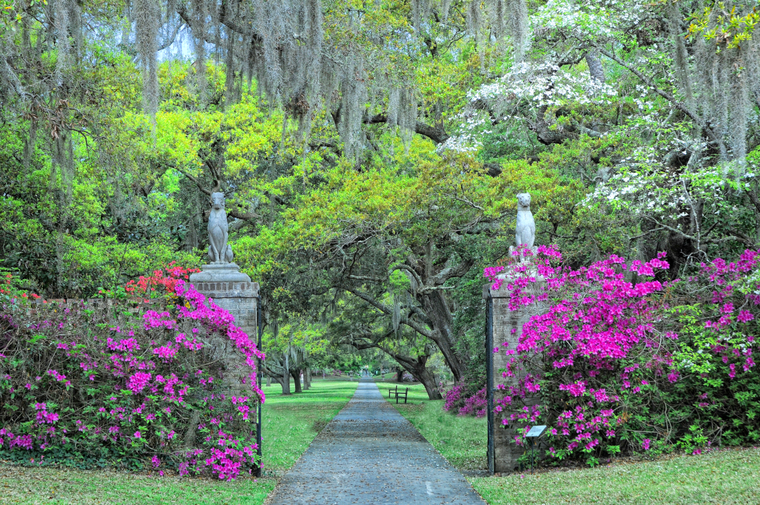 Take a Walk with the Artist behind Brookgreen Gardens’ Fantastical New