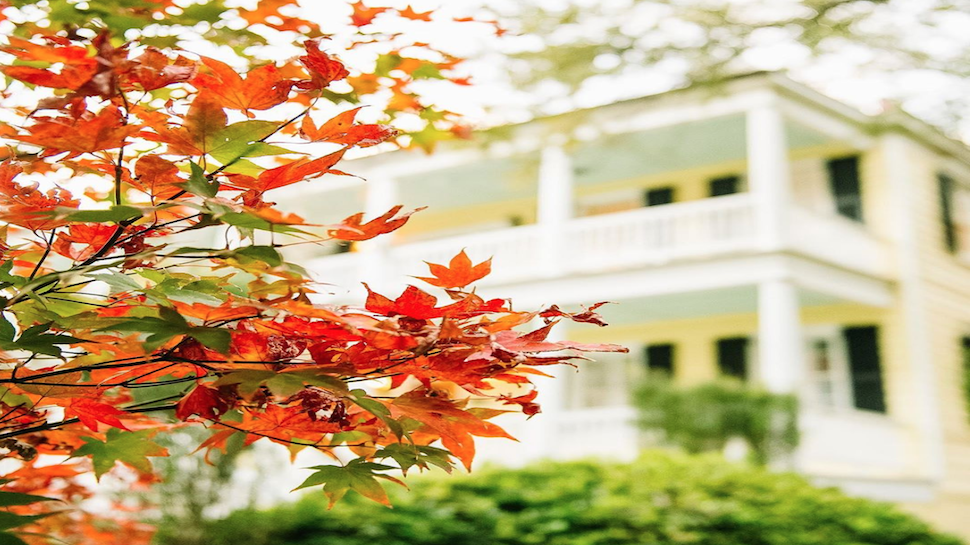 Charleston Guide to Fall Foliage