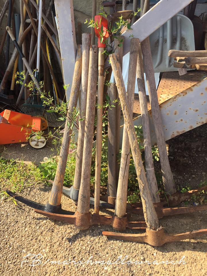 Chipping Away Marshmallow Ranch