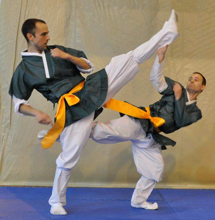 Martial Arts You Never Heard Of
