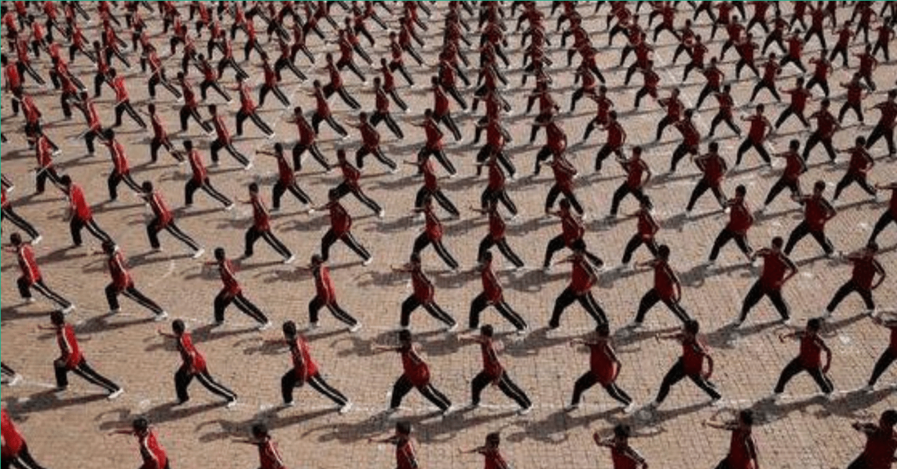 Martial Arts are USELESS! Or Are They? Martial Tribes