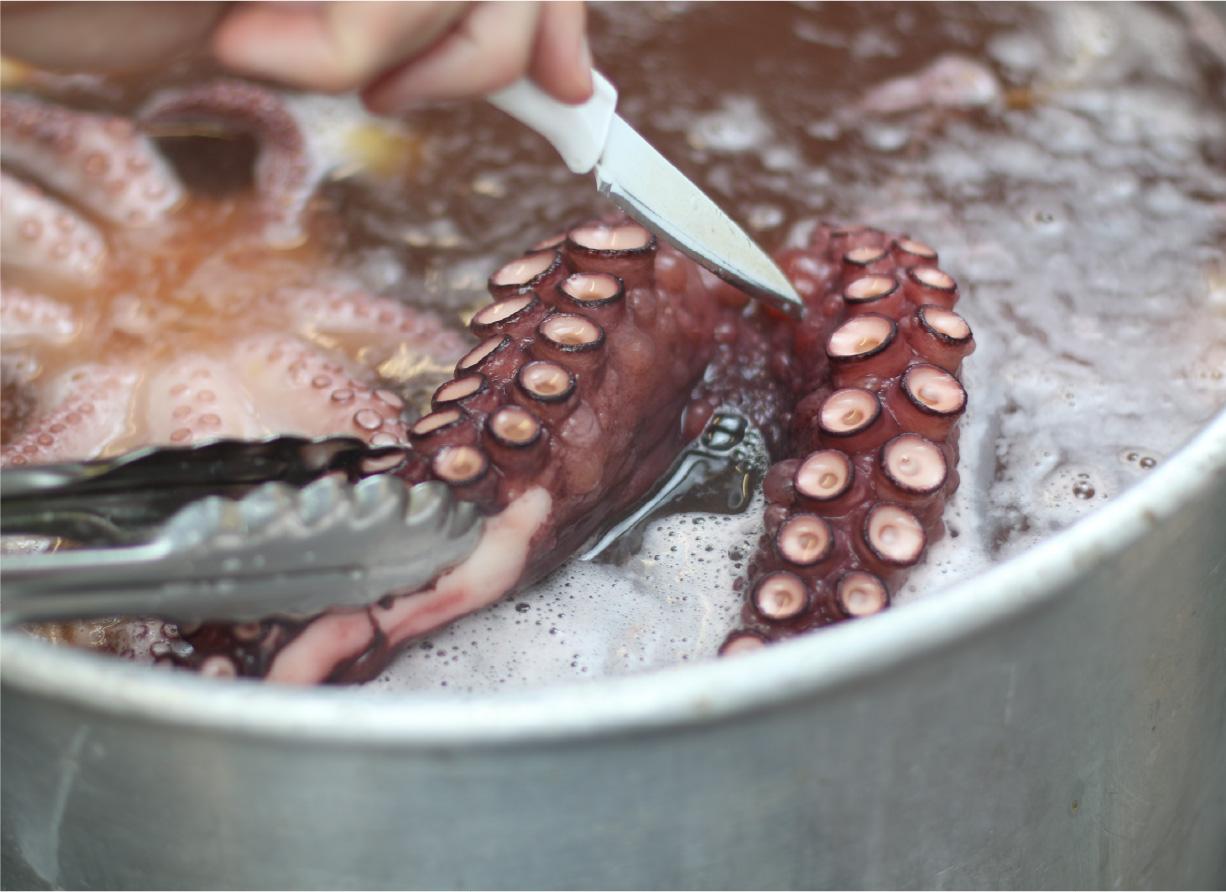 How to Cook Octopus Like an Expert