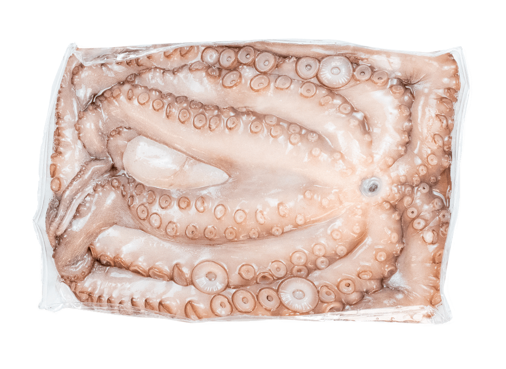 Buy Octopus and Squid at