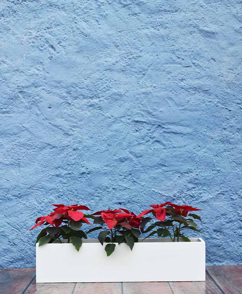 Rectangular Planter Sleek 36 inch, Indoor Outdoor Fiber Planter