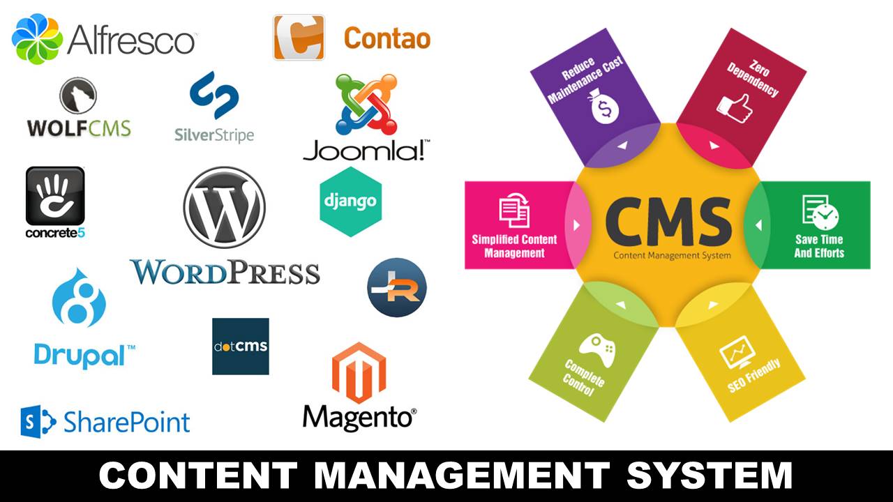 The Ultimate Guide to Content Management Systems Masleyo
