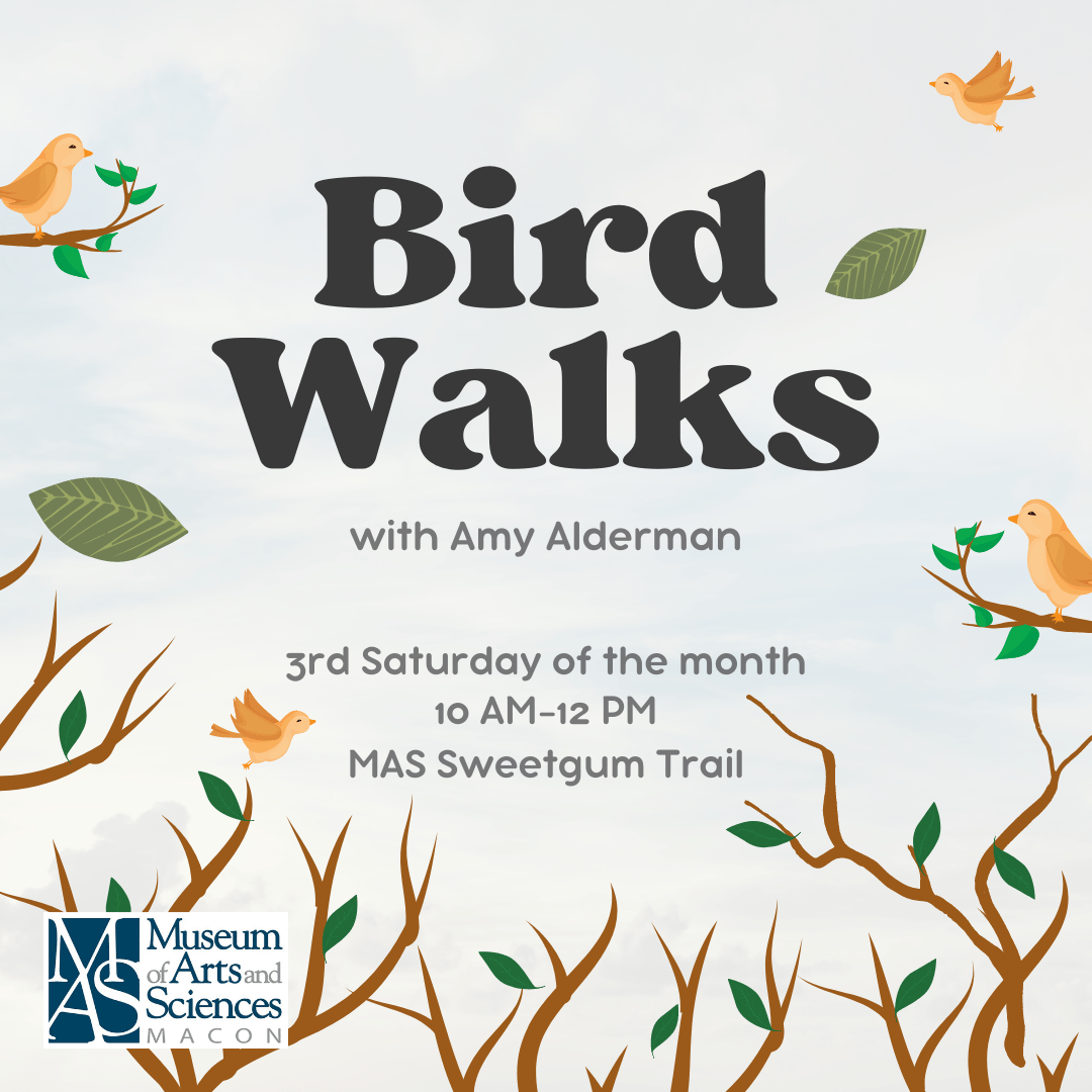 Macon Ga Events June 2023