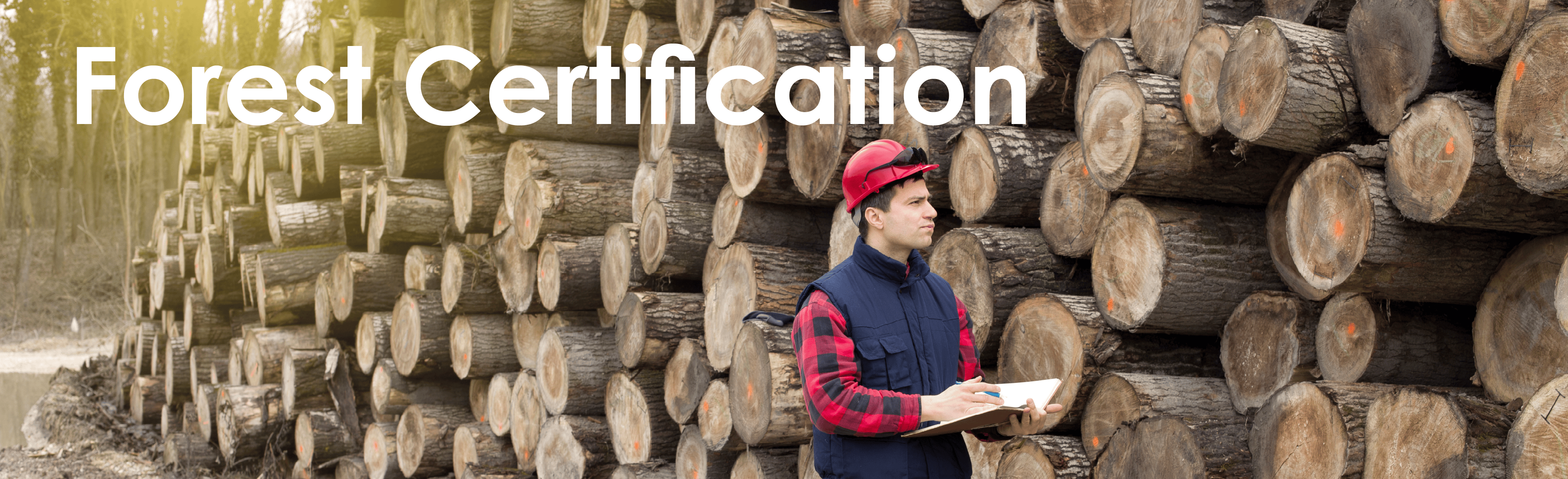 Forest Certification Support MB&G