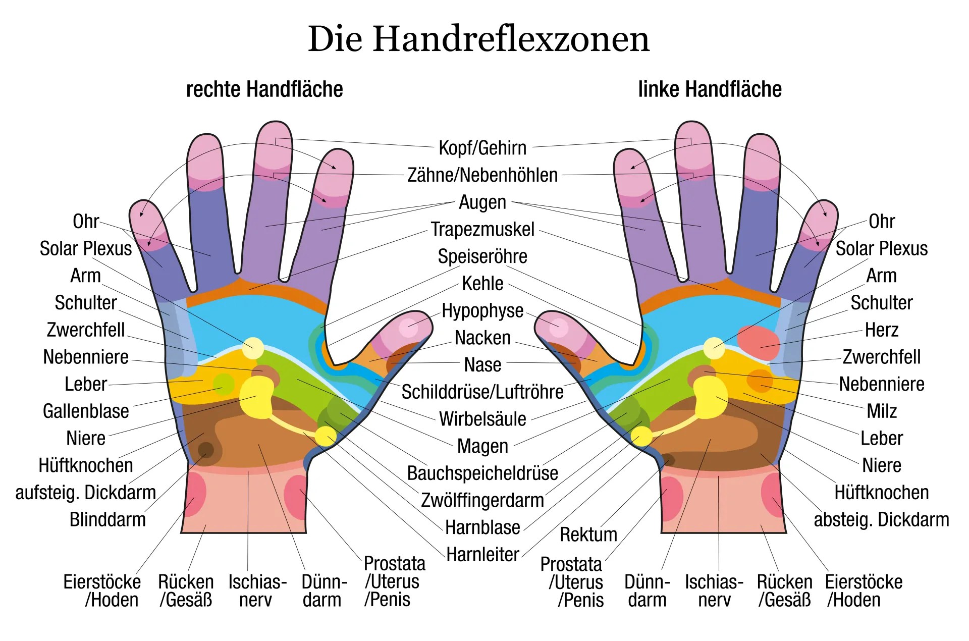 Handreflexzonenmassage ⇒ Ratgeber & Infografik!