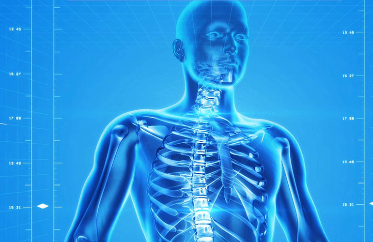 The 10 largest orthopedic device companies in the world MassDevice