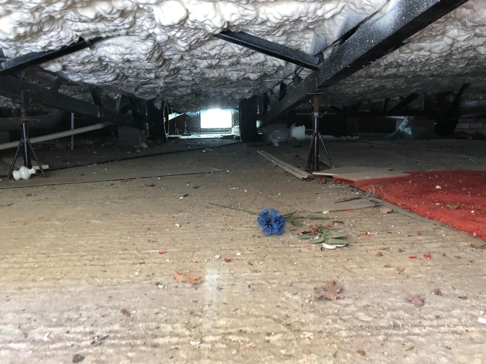 Icynene Spray Foam for Mobile Homes Insulation Mass Foam Systems