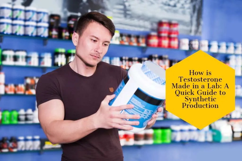 How is Testosterone Made in a Lab A Quick Guide to Synthetic Production