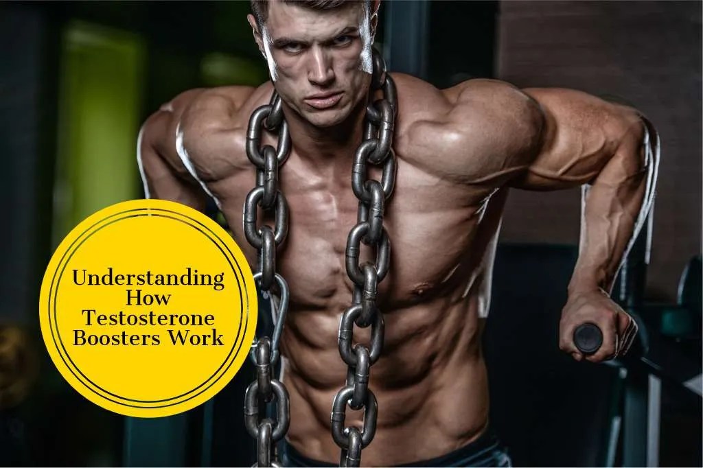 Legal and Effective Testosterone Booster Check The Best Option