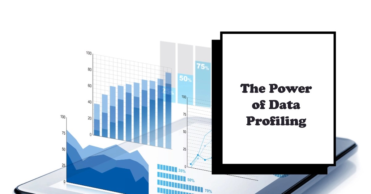 Data Profiling Build a true, deep understanding of your data