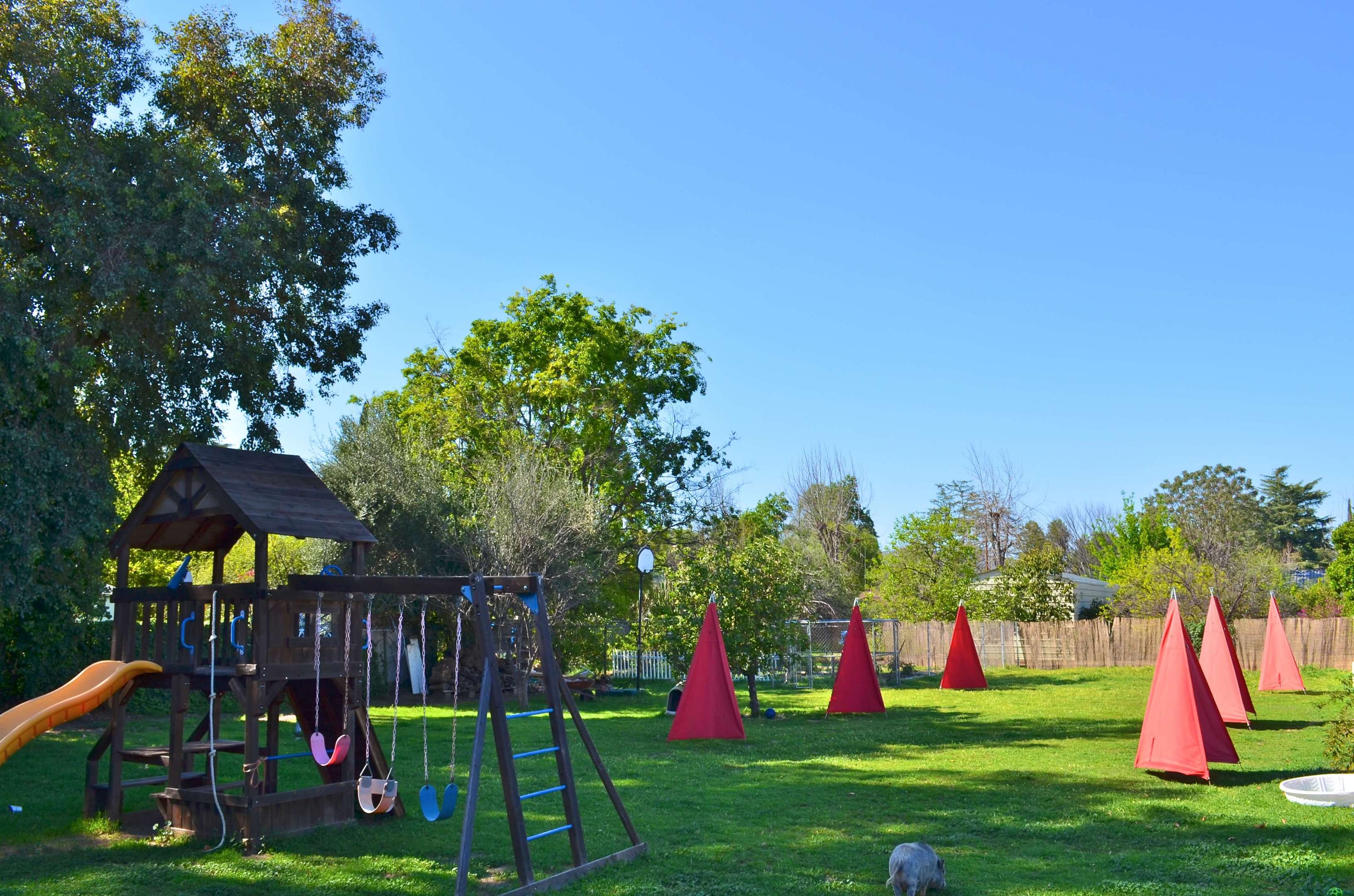 dog_training_hotel_los_angeles Royal Dog Academy