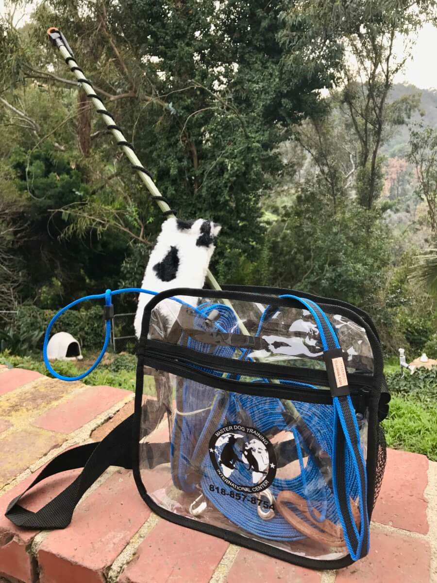 Dog Training Equipment Set 1 Royal Dog Academy