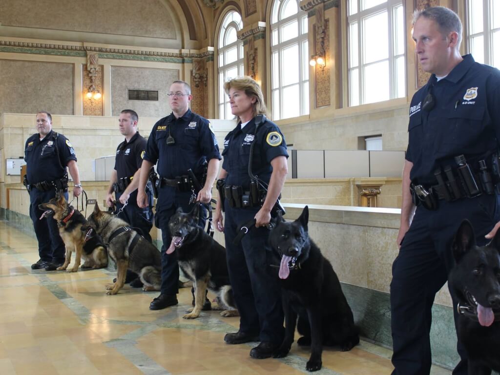 K9 Training in masterdogtraining centers