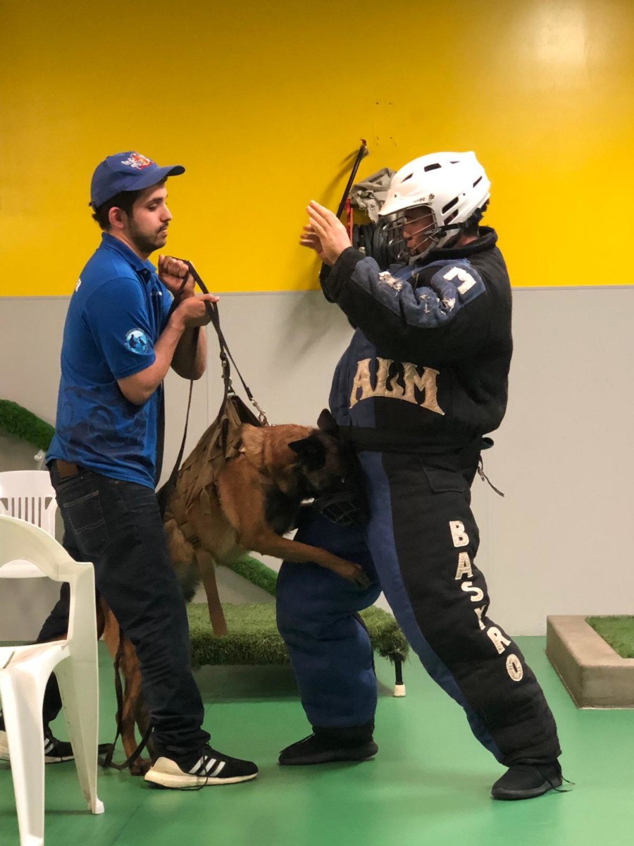 Adrenaline Show Royal Dog Academy