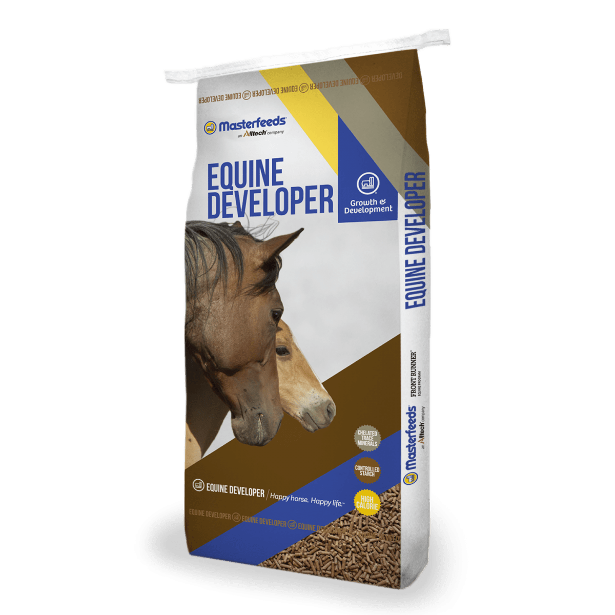 Guide to Deworming Your Horse Masterfeeds