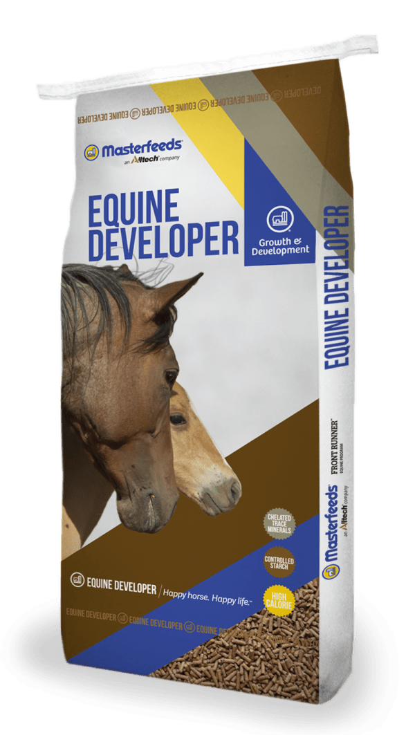 Feeding the Mare and Foal Masterfeeds