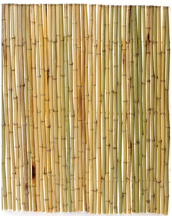 Bamboo Rolled Fence