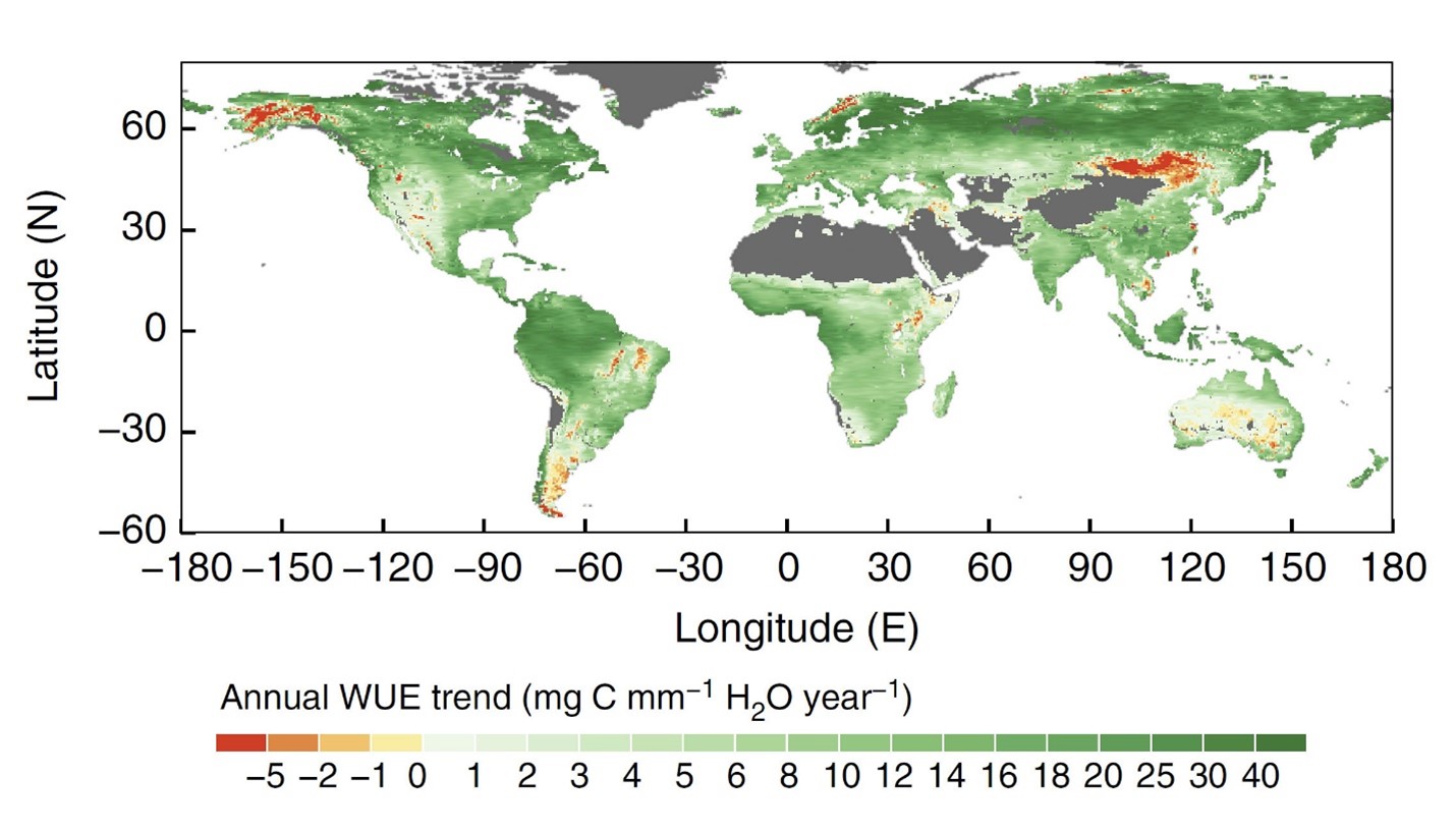 CO2 Enrichment Improves Plant WaterUse Efficiency Master Resource