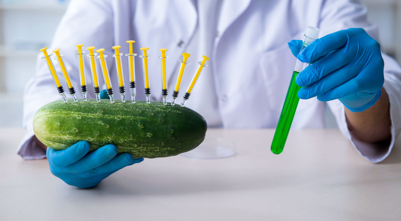 Online Masters In Food Science No GRE