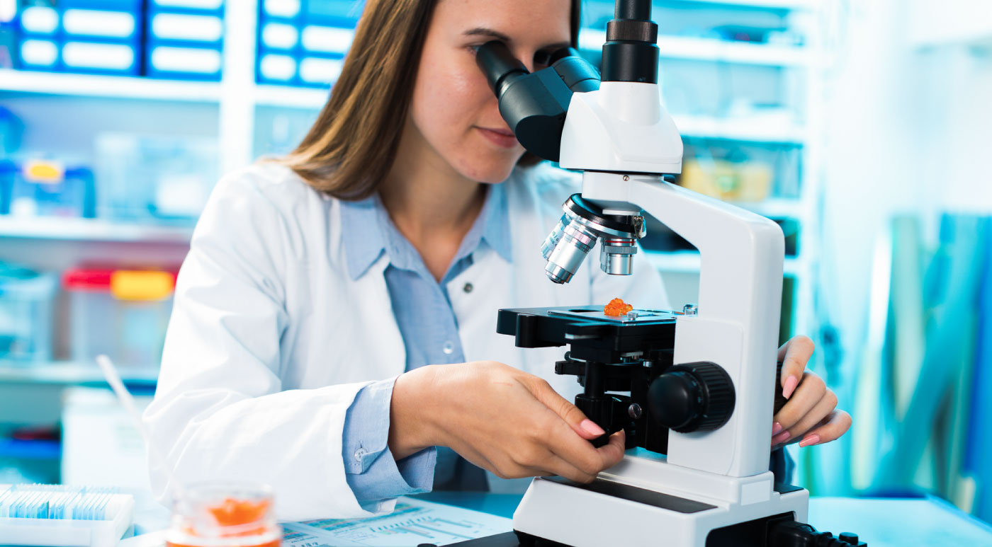 10 Best Master's Programs in Food Science Master's Programs Guide