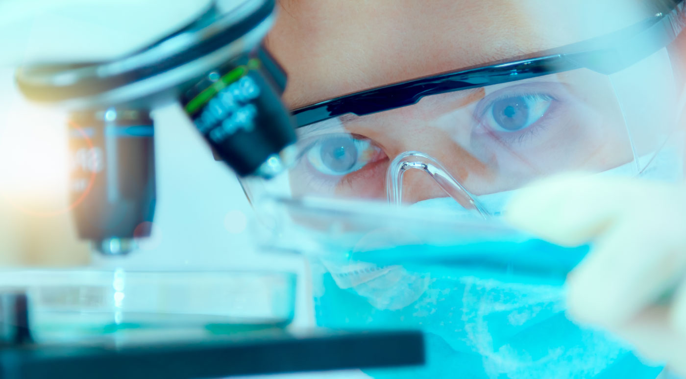 15 Best Affordable Master's in Food Science and Technology Master's