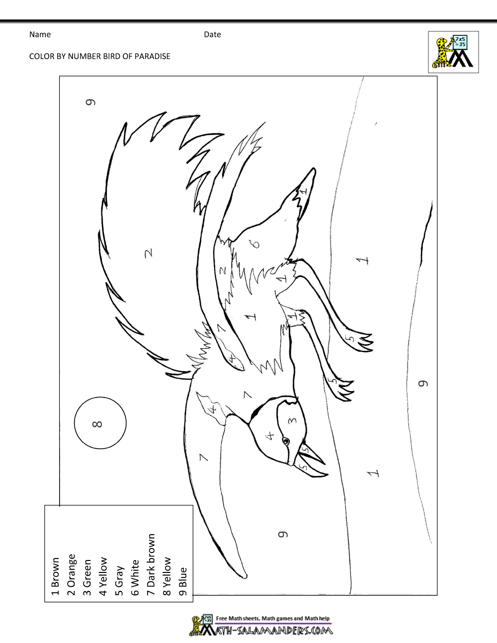 Color By Number Pages