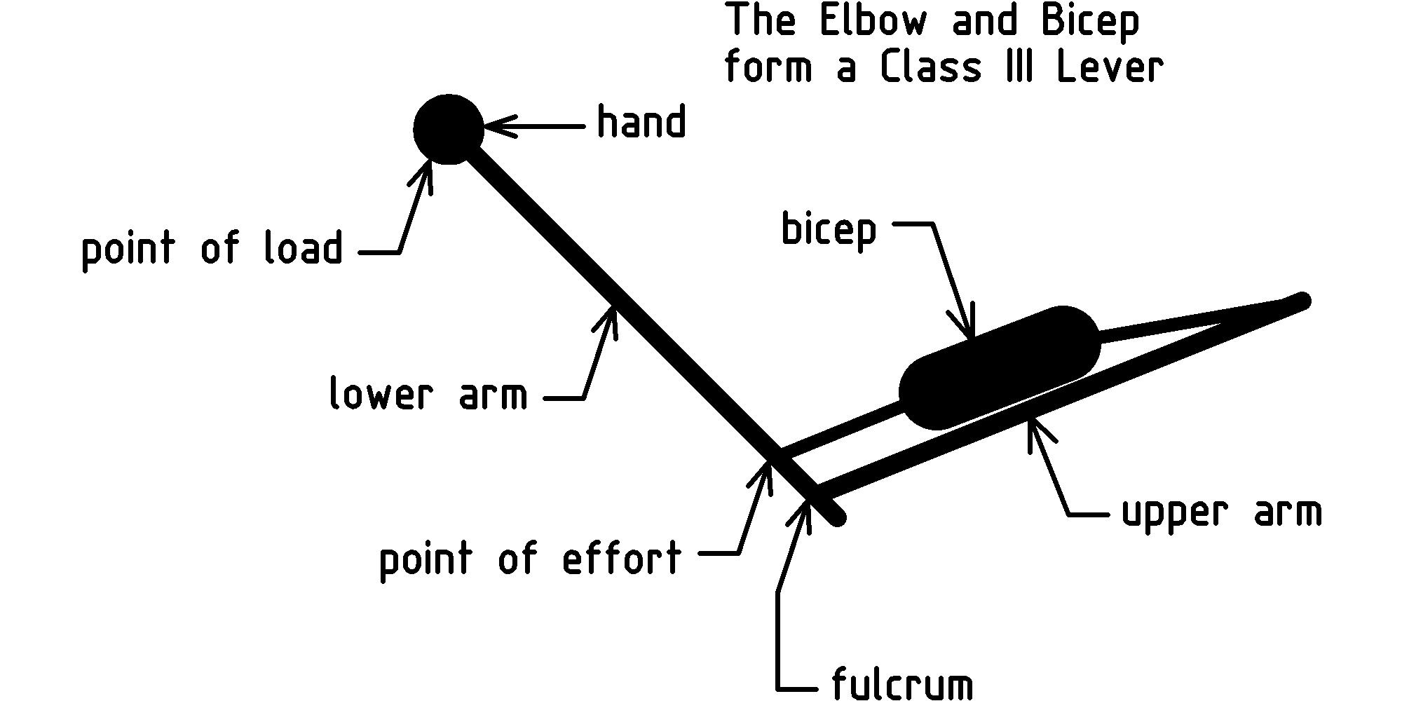 Forces, Work, and Simple Machines