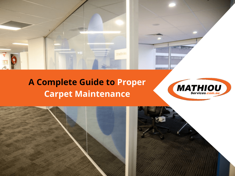 Complete Guide to Proper Carpet Maintenance Mathiou Services