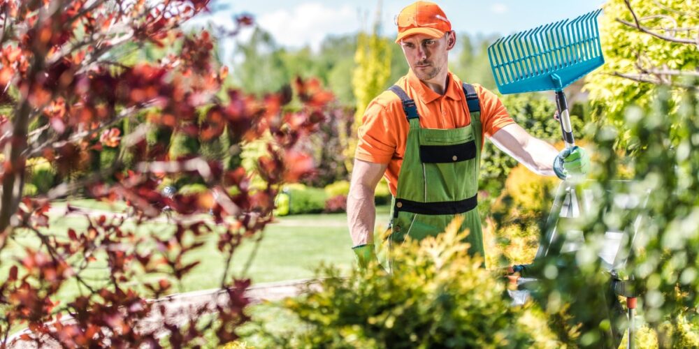 Strata Garden Maintenance A Quick Guide Mathiou Services