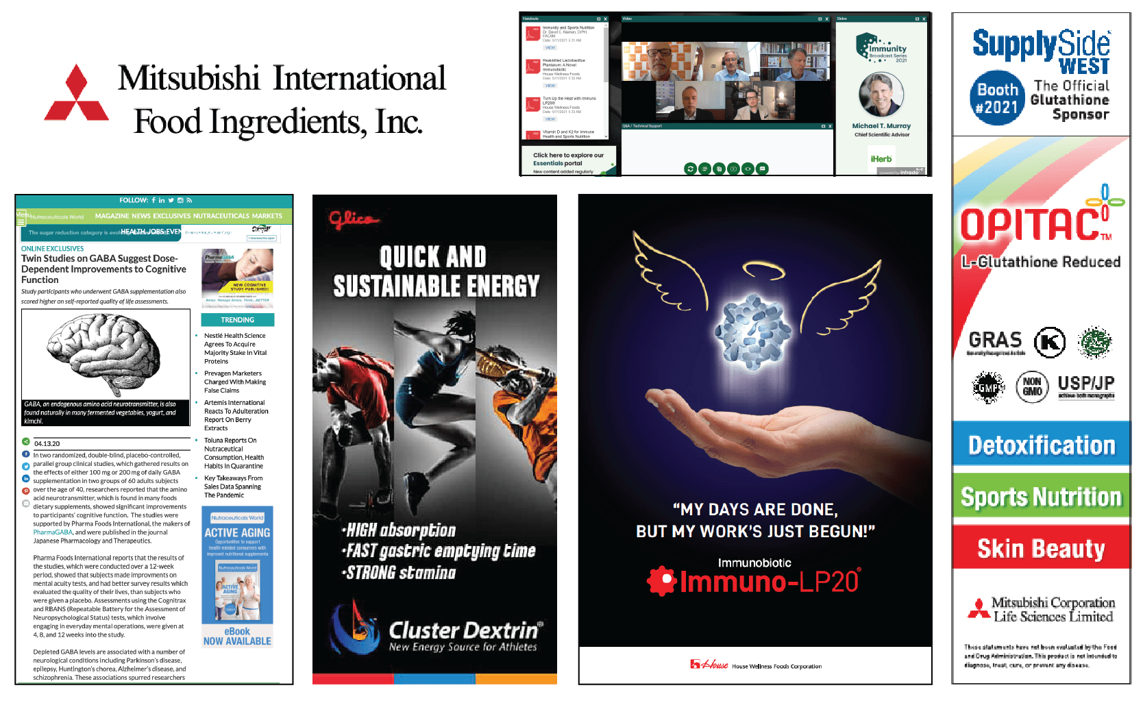 Mitsubishi International Food Ingredients, Inc. MATRIX