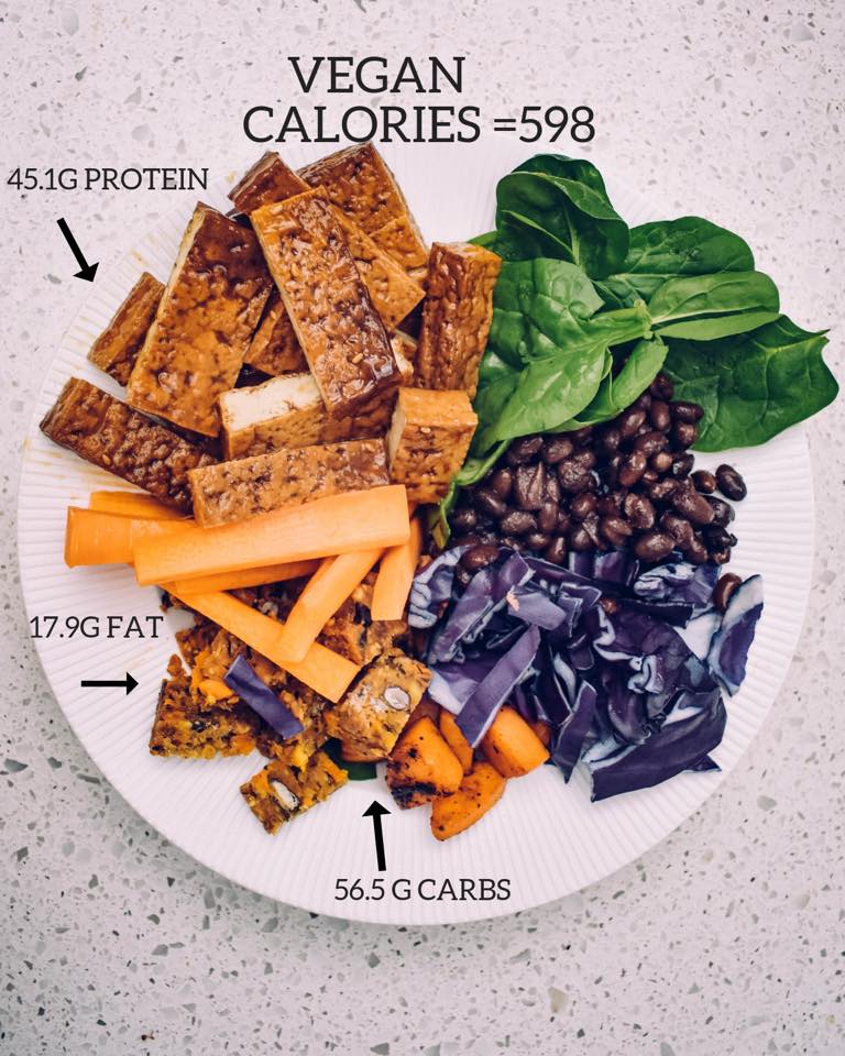 The Vegan Comparison Matt Fox