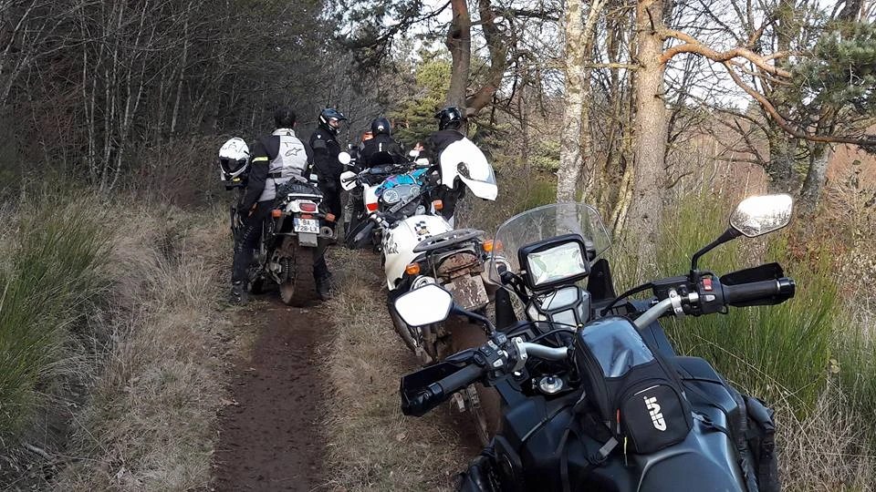 Qu'est-ce qu'il se passe ? il y a un spectacle ??