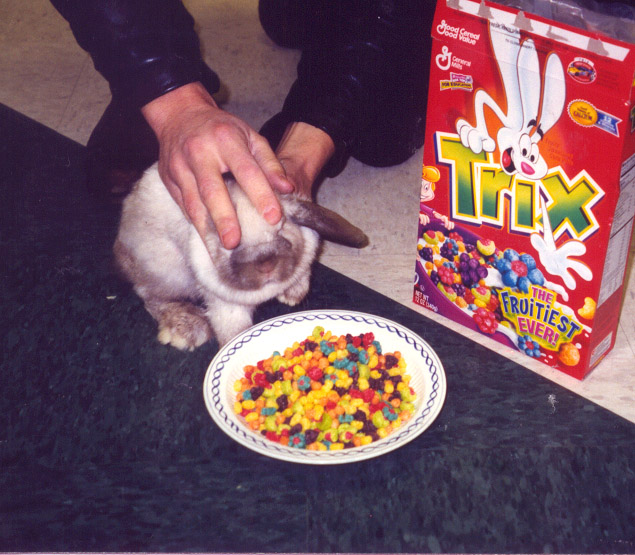 Conceptualconceptual Art Project Emu's First Collaboration