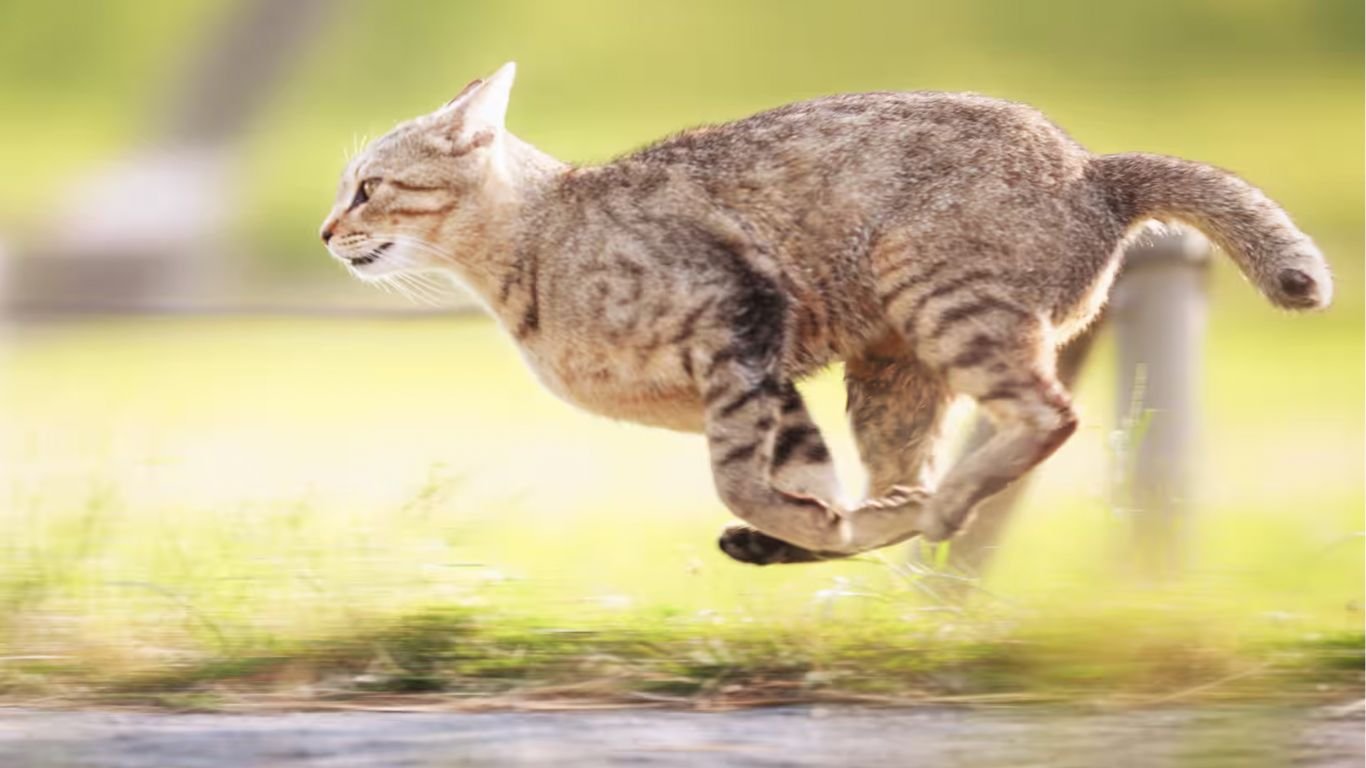 Power Automate Instant LowCode Plugins To Run PowerFx Code