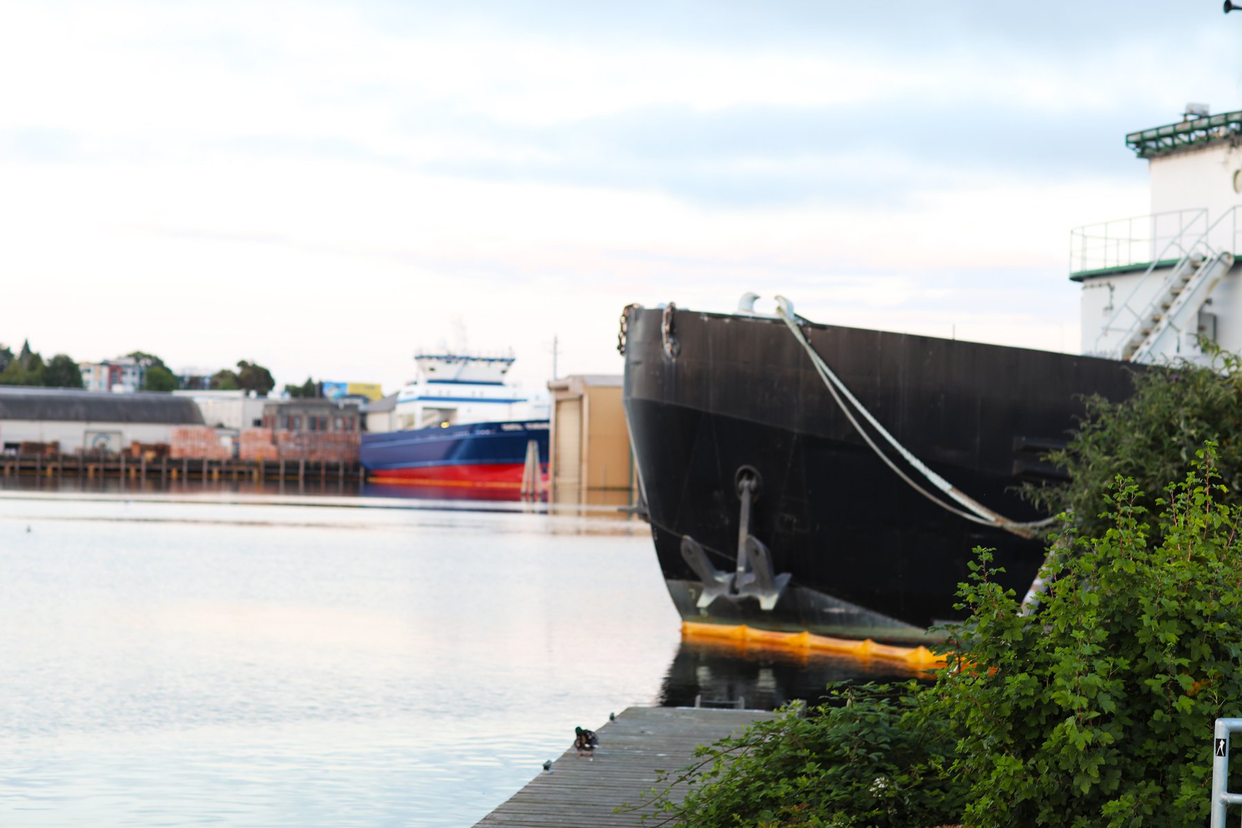 Explore Living in Ballard, WA Real Estate Matthew Konsmo