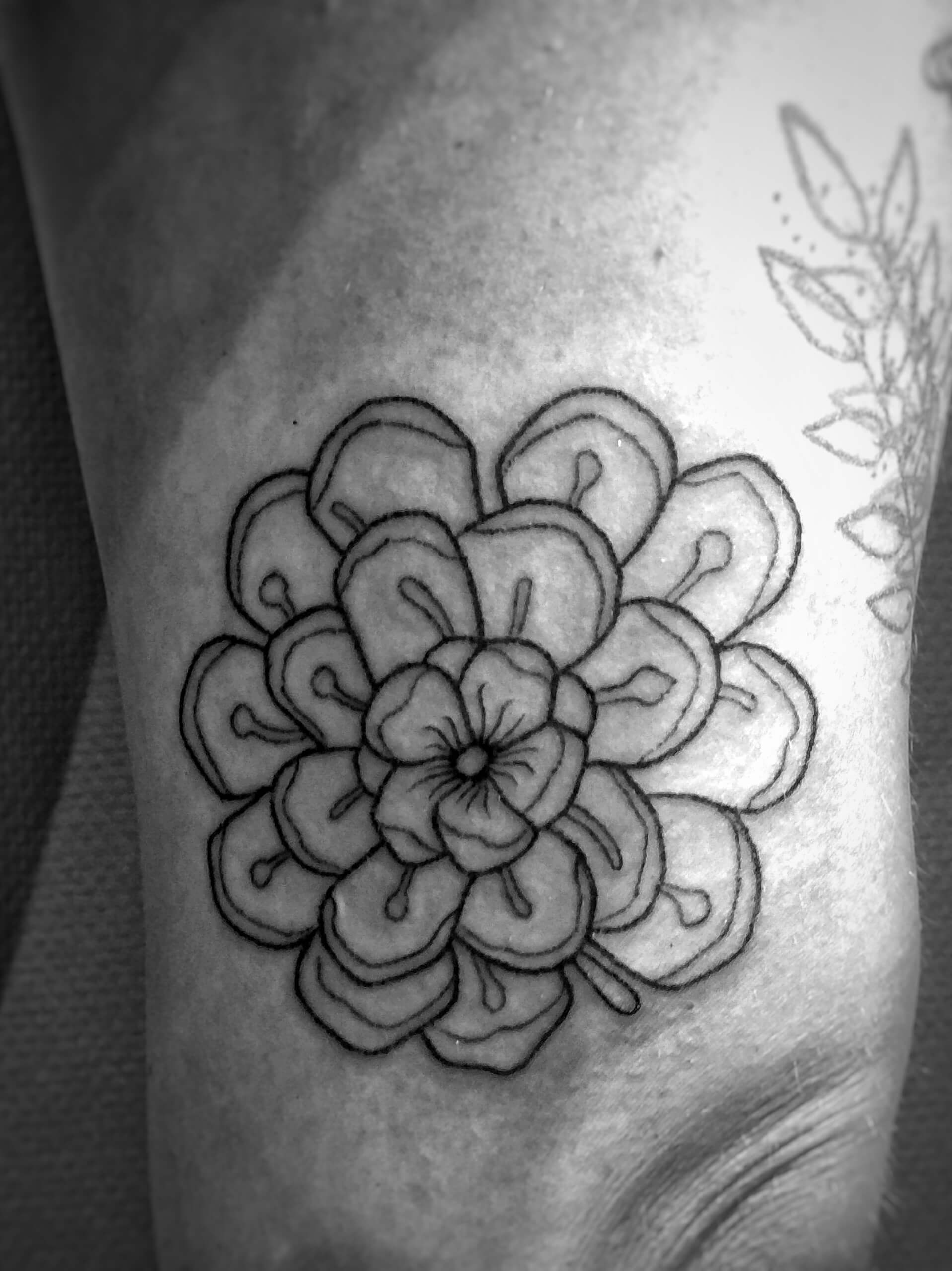 Tattooing – Matthias De Vylder 2558_x_1917_jpg