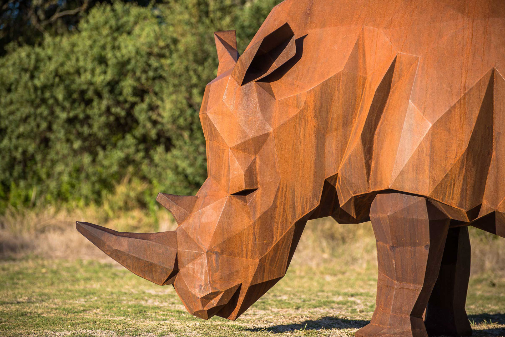 African Animal Sculptures Matt Hill Projects