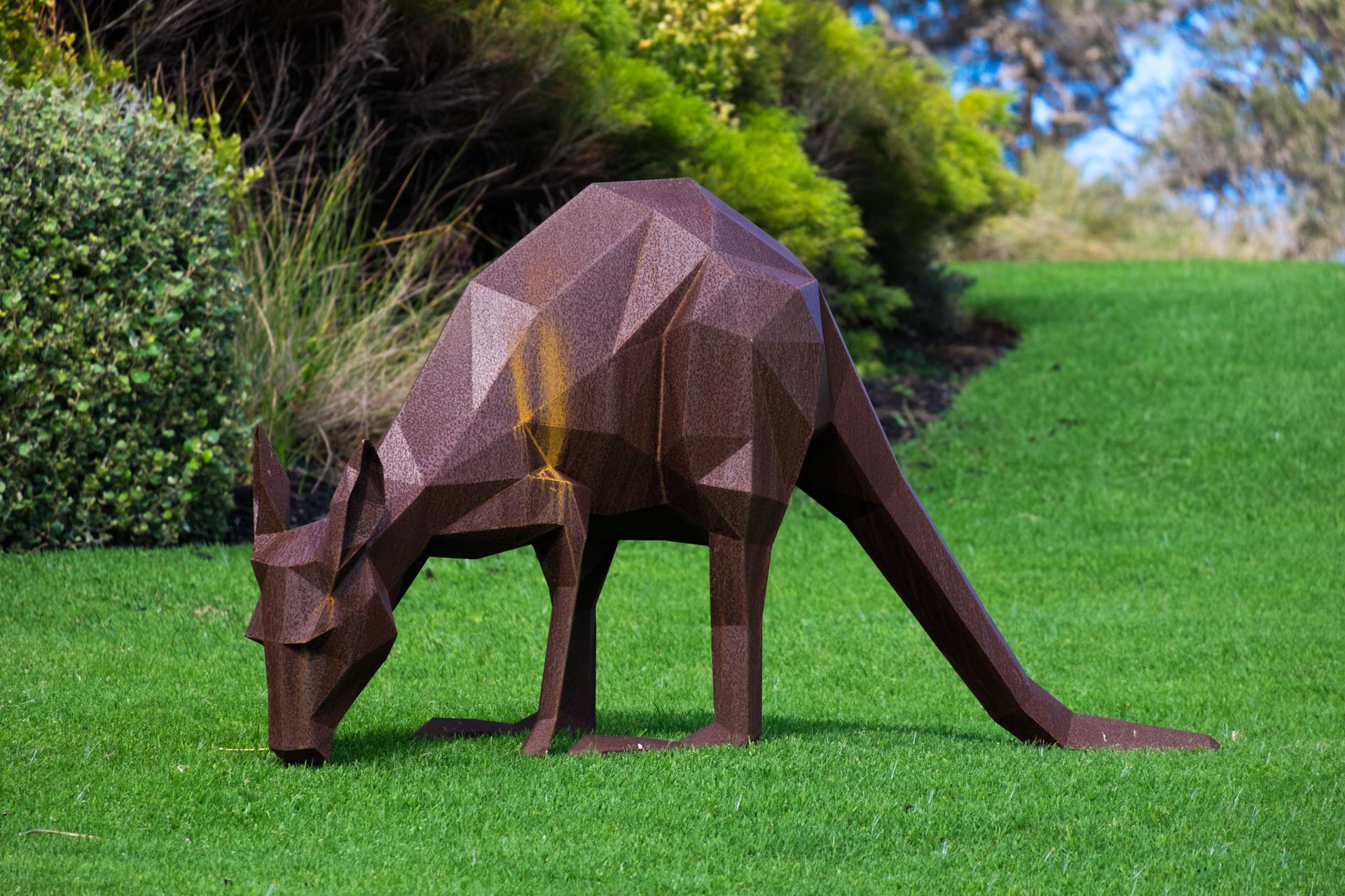 Kangaroos Matt Hill Projects