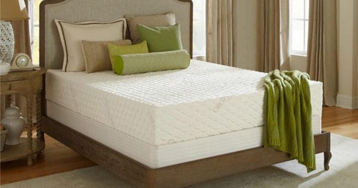 Saatva Vs Plushbeds Mattress Buzz Reviews