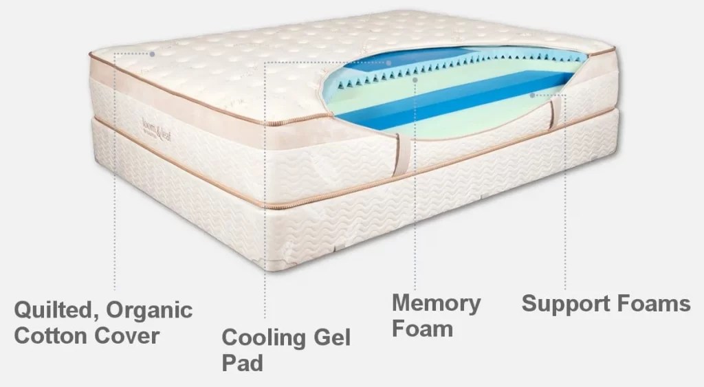 Saatva vs. Loom & Leaf Mattress Comparison (2024) Mattress Nerd
