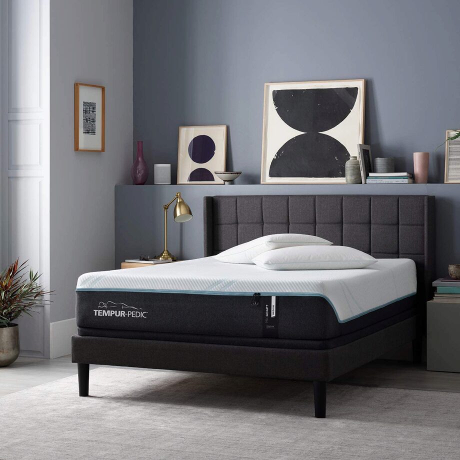 Top Mattresses for Lower and Upper Back Pain 2022 Mattress Nerd