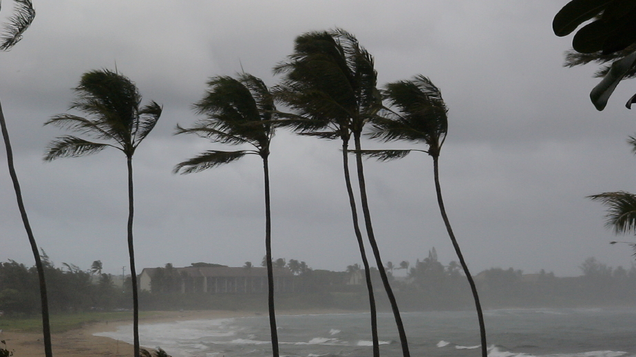 What To Do On Maui On A Rainy Day Maui Activities Blog
