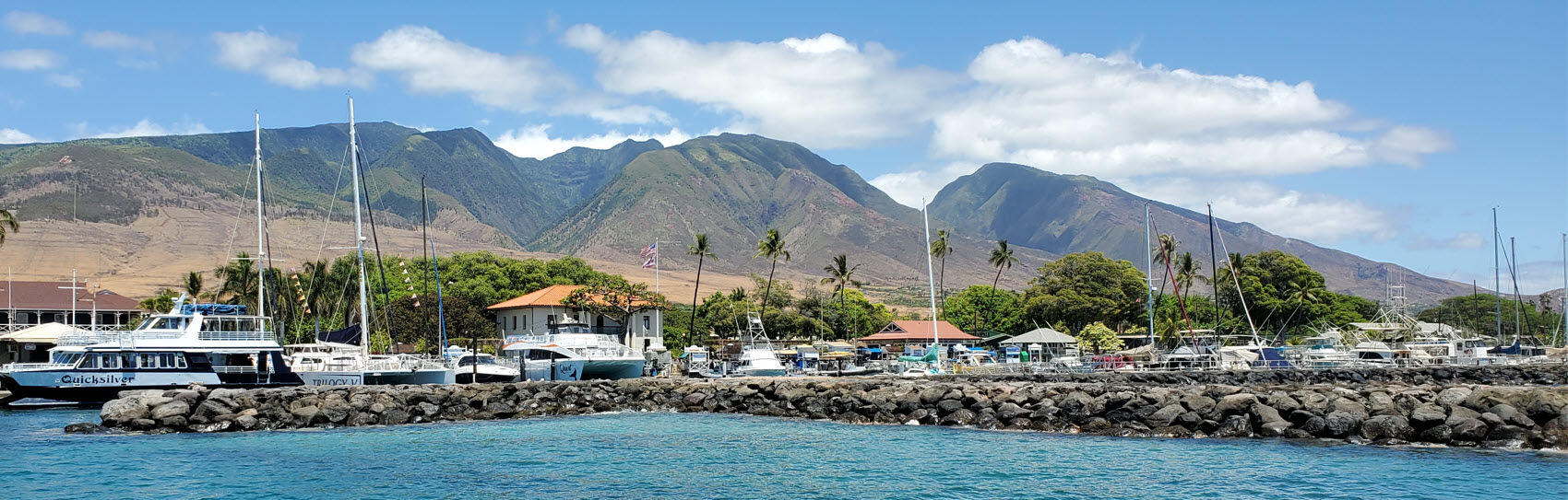 Vacation Rental Management Services Maui Beachfront Rentals