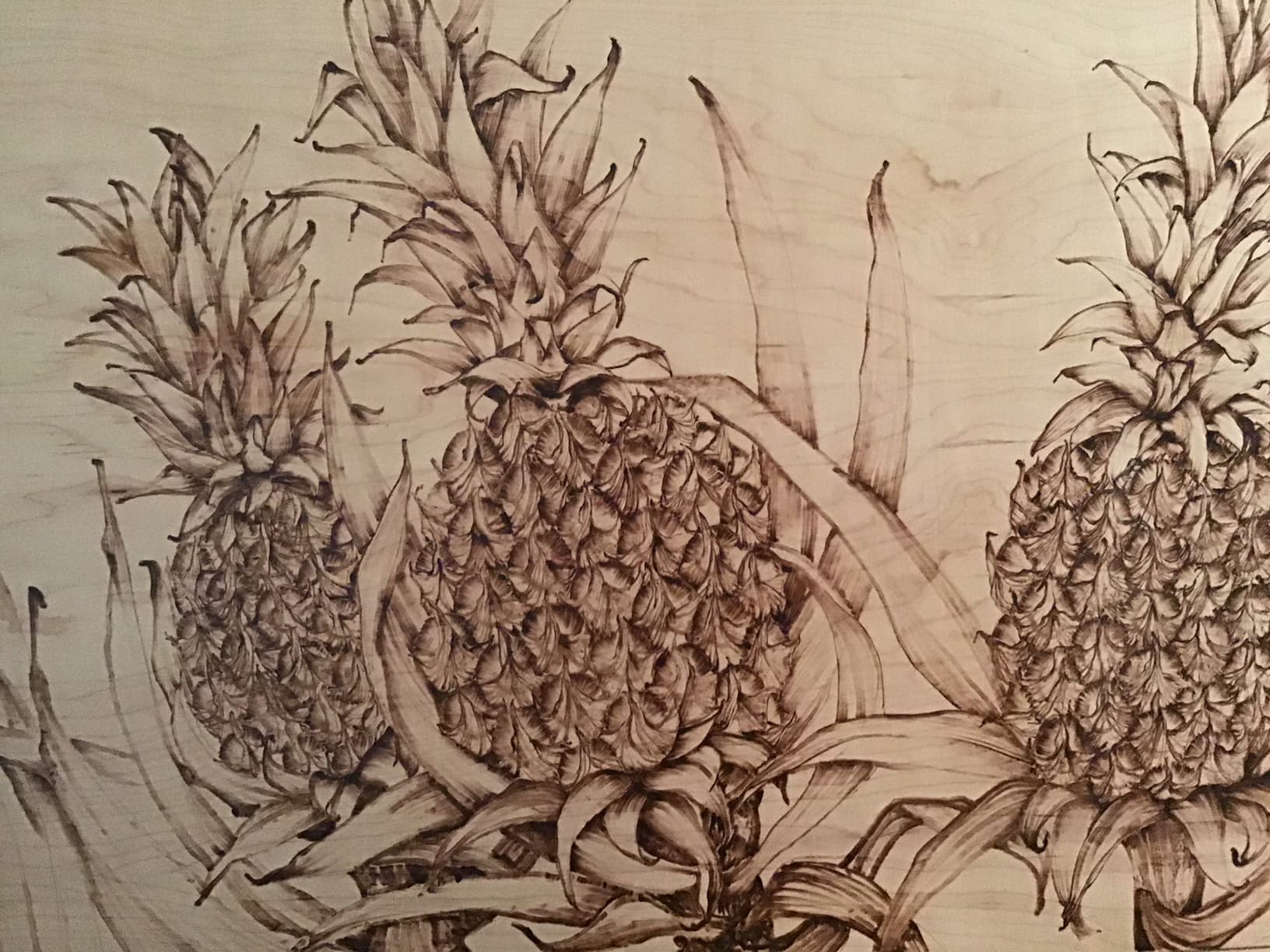 Pineapple Field Maui Hands